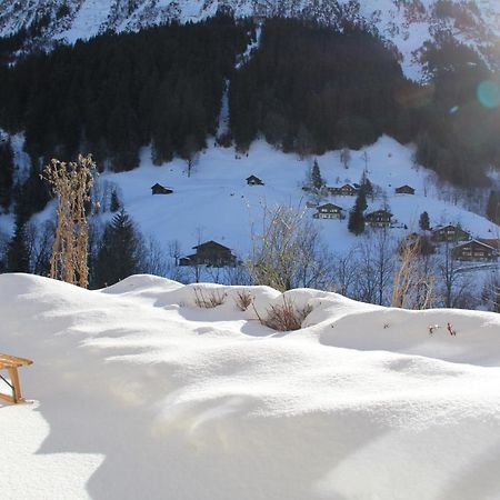 Chalet Pfingsteggblick Grindelwald Kültér fotó