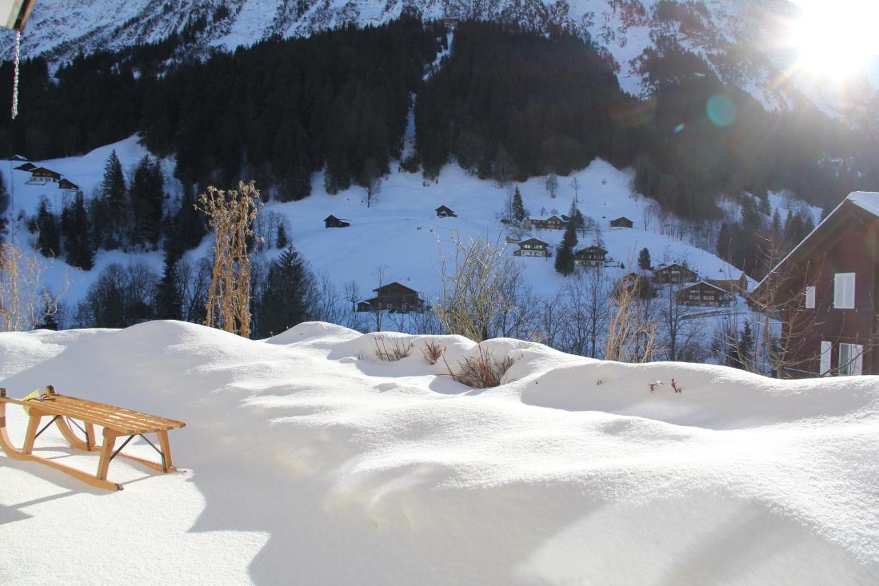 Chalet Pfingsteggblick Grindelwald Kültér fotó