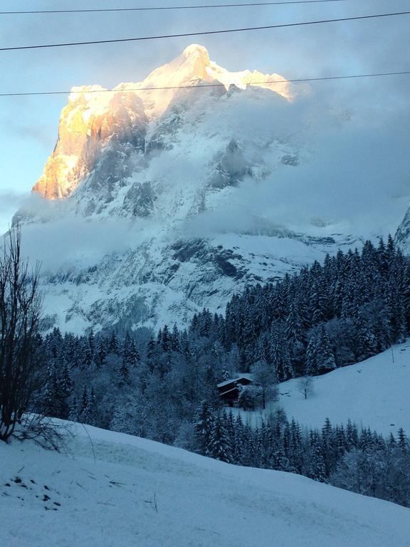 Chalet Pfingsteggblick Grindelwald Kültér fotó