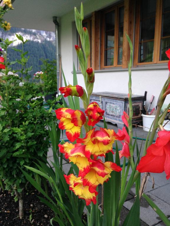 Chalet Pfingsteggblick Grindelwald Kültér fotó