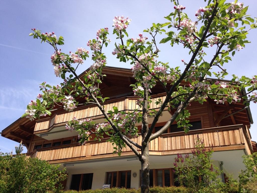 Chalet Pfingsteggblick Grindelwald Kültér fotó